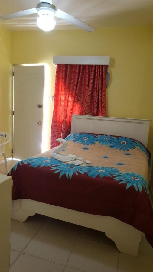 Habitación Individual Estándar