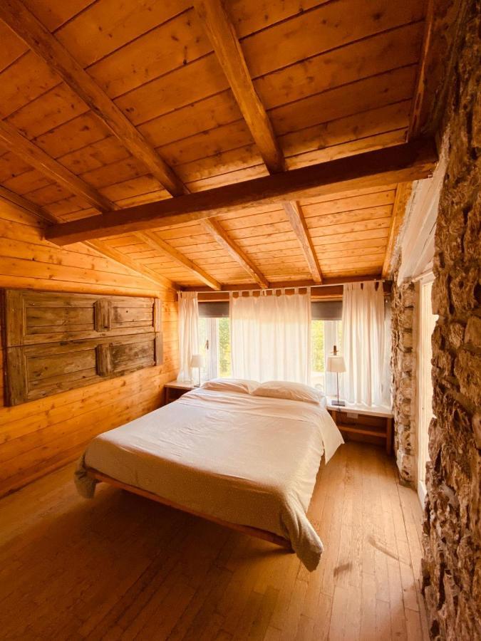 Deluxe Double or Twin Room Mountain View