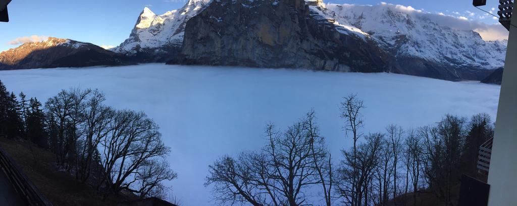 Double Room Balcony Mountain View