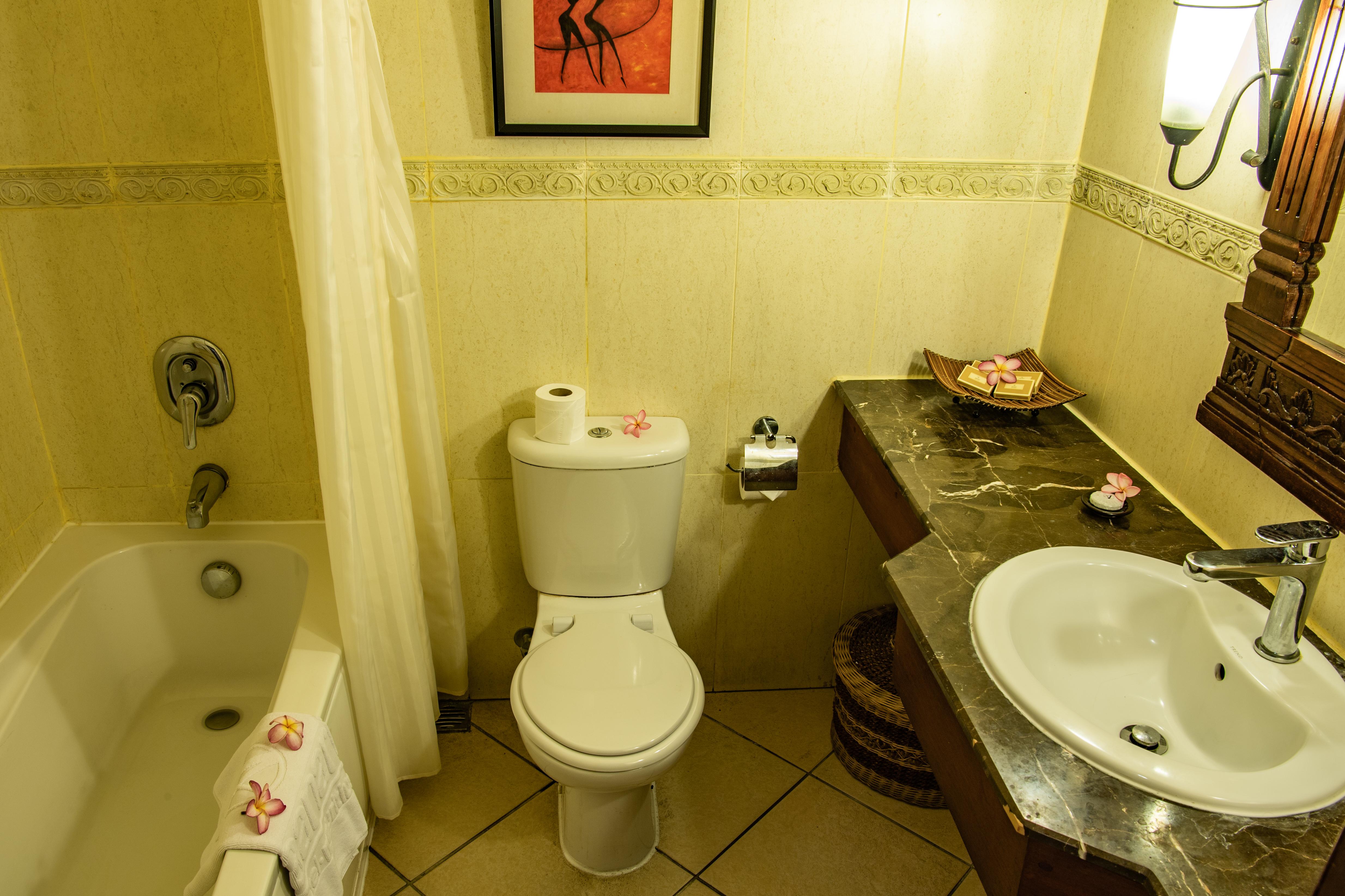 Standard Double or Twin Room