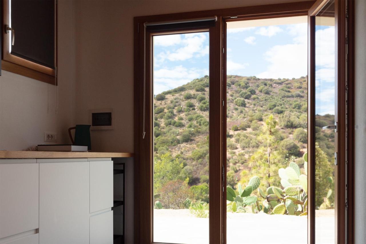 Suite Terrace