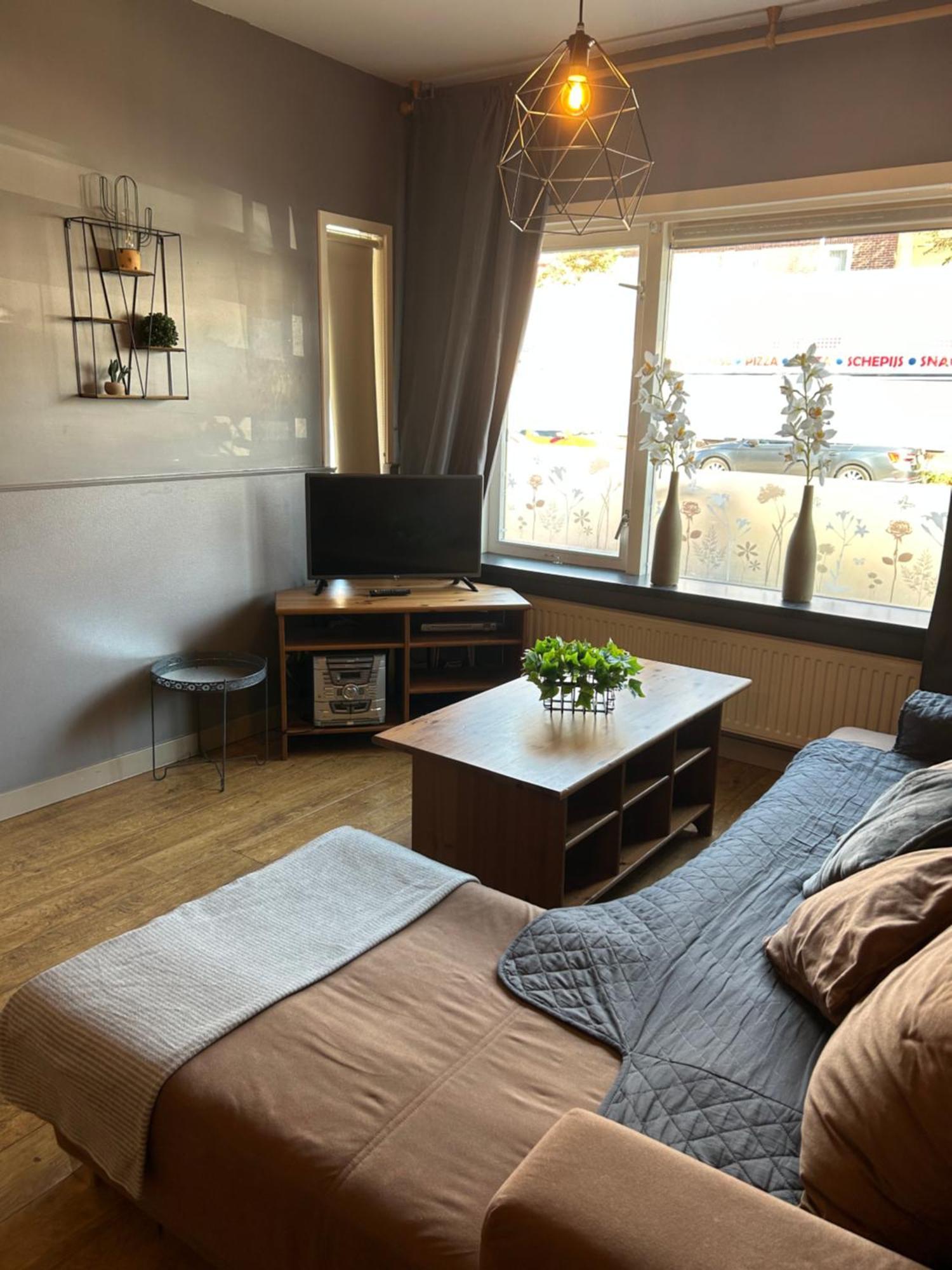 Standard Suite,1547948323:JPEG