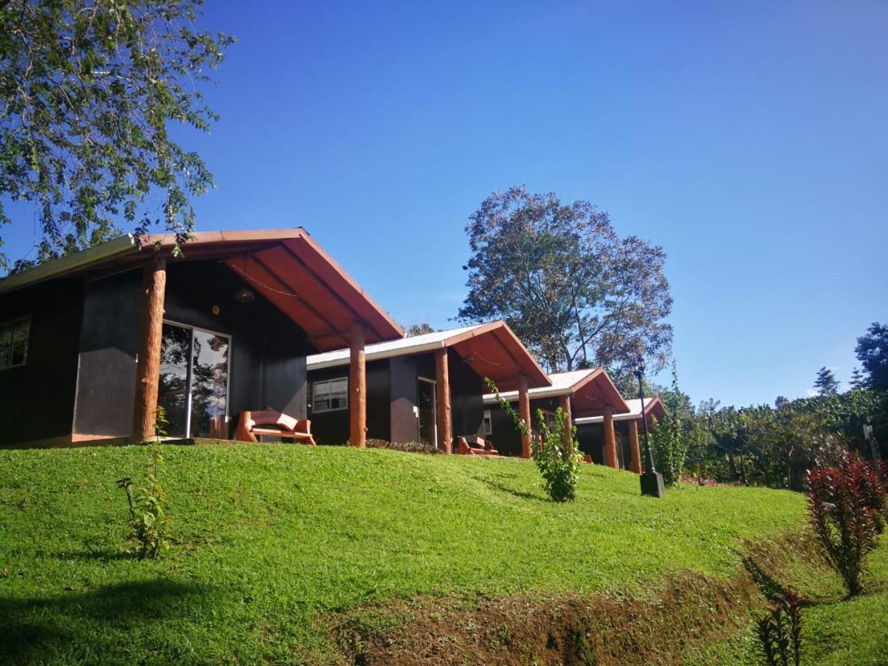 Quadruple Room Garden View