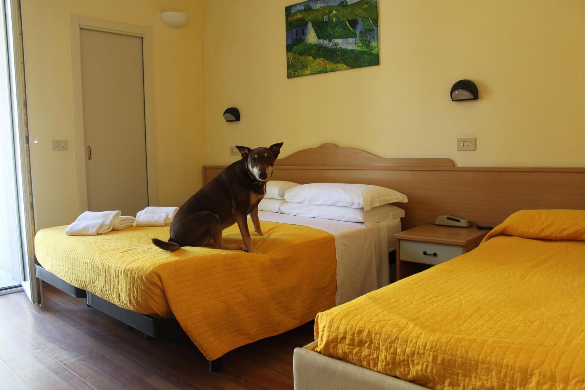 Standard Triple Room,1668427522:JPEG