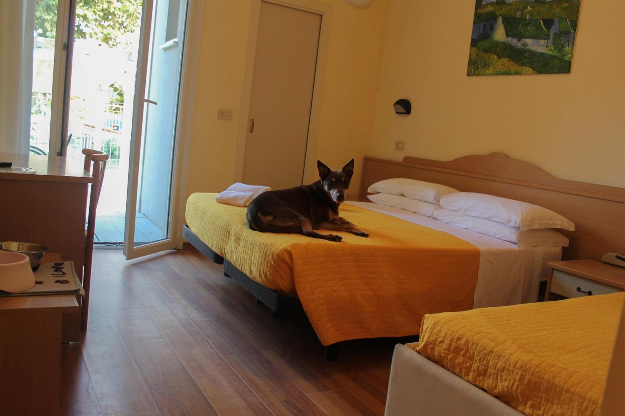 Quadruple Room Terrace,1668427522:JPEG