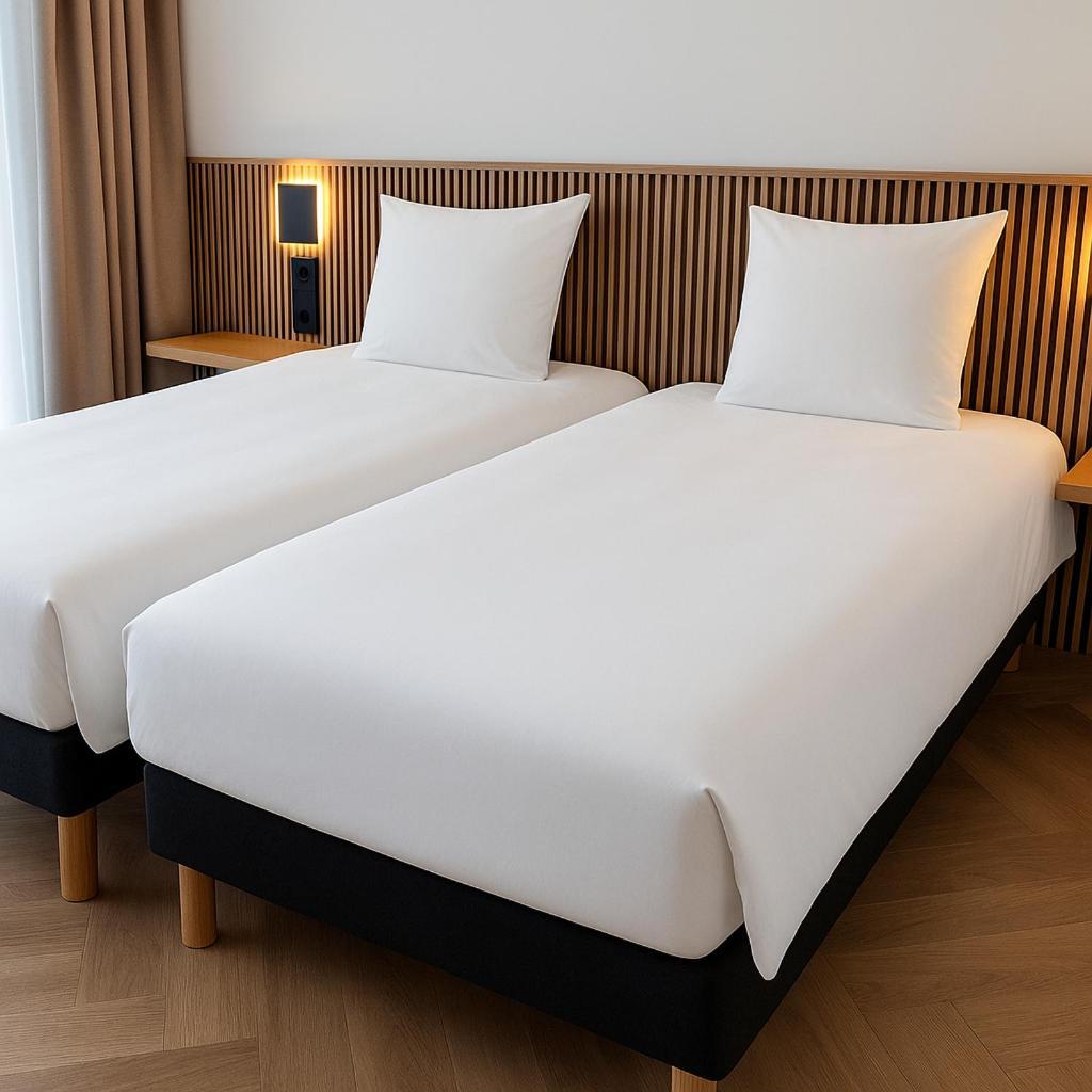 Chambre Lits Jumeaux Deluxe