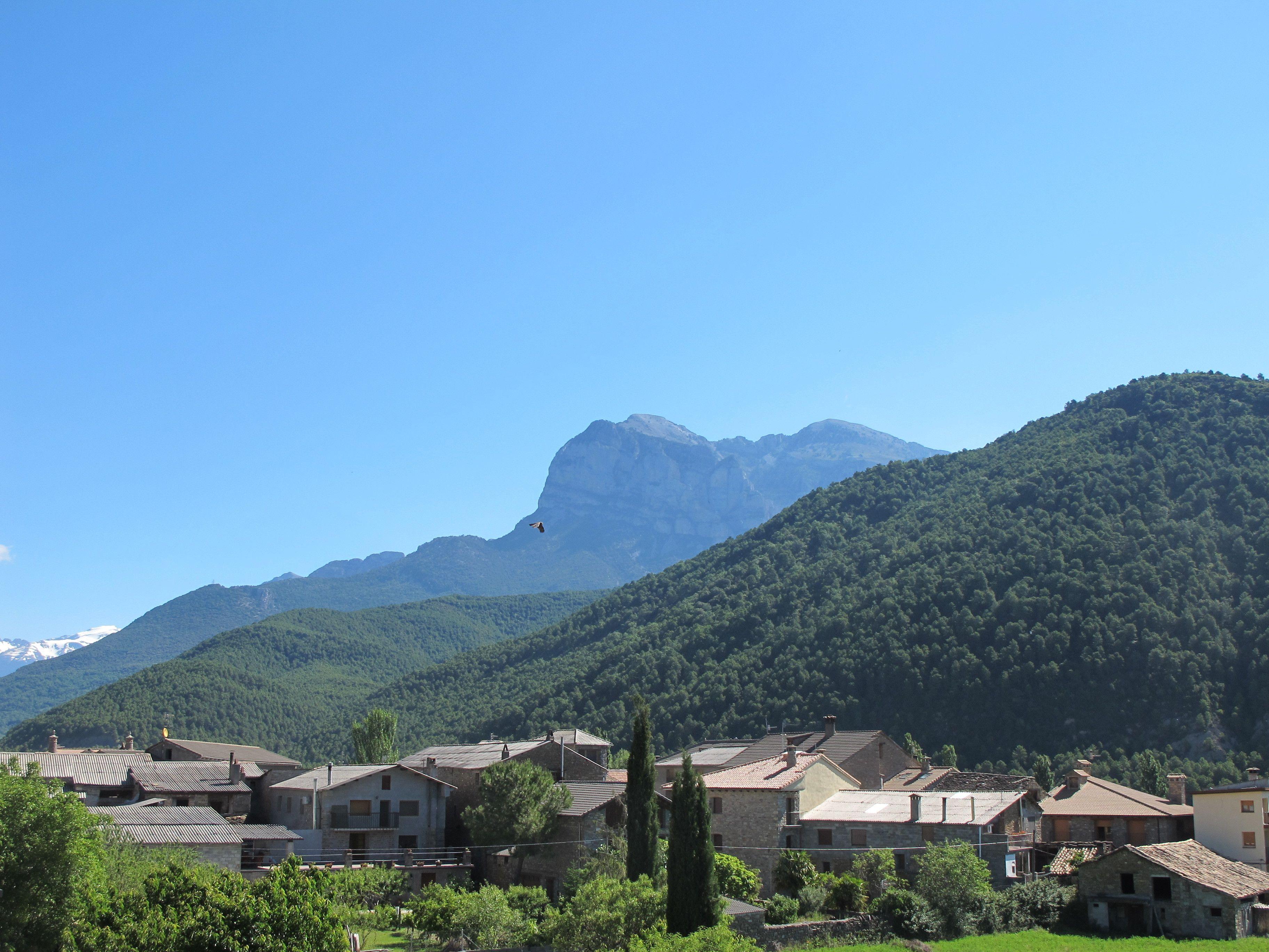 Twin Mountain View