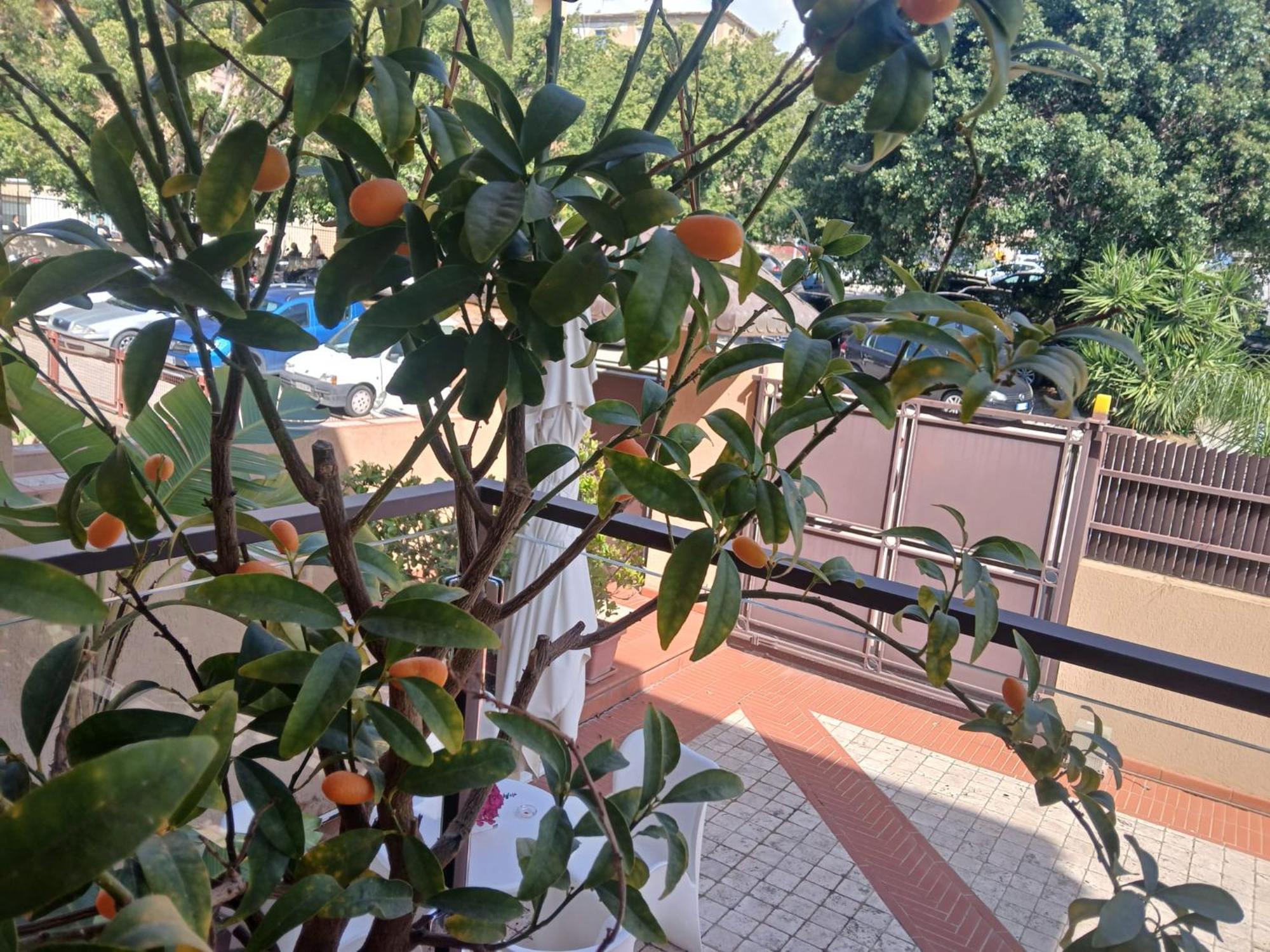 Deluxe Double Room Balcony
