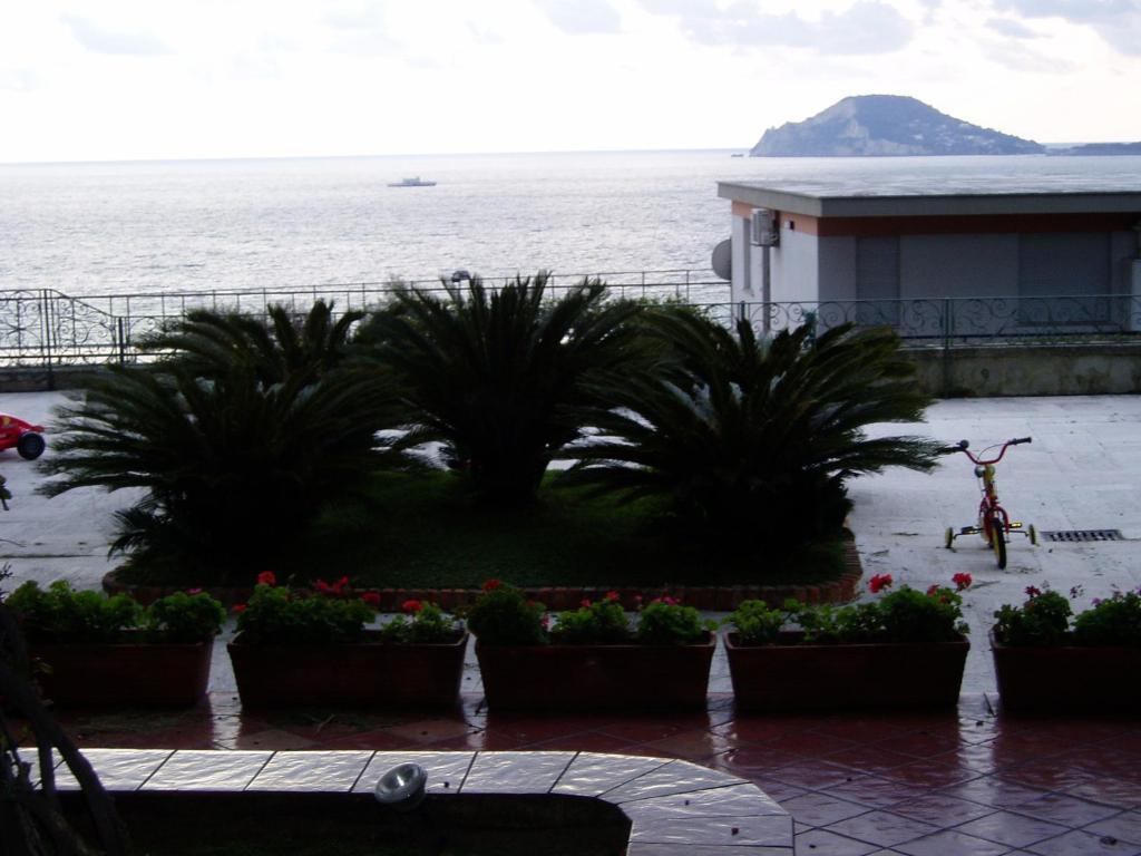 One-Bedroom Apartment with Panoramic View,28225013:JPEG