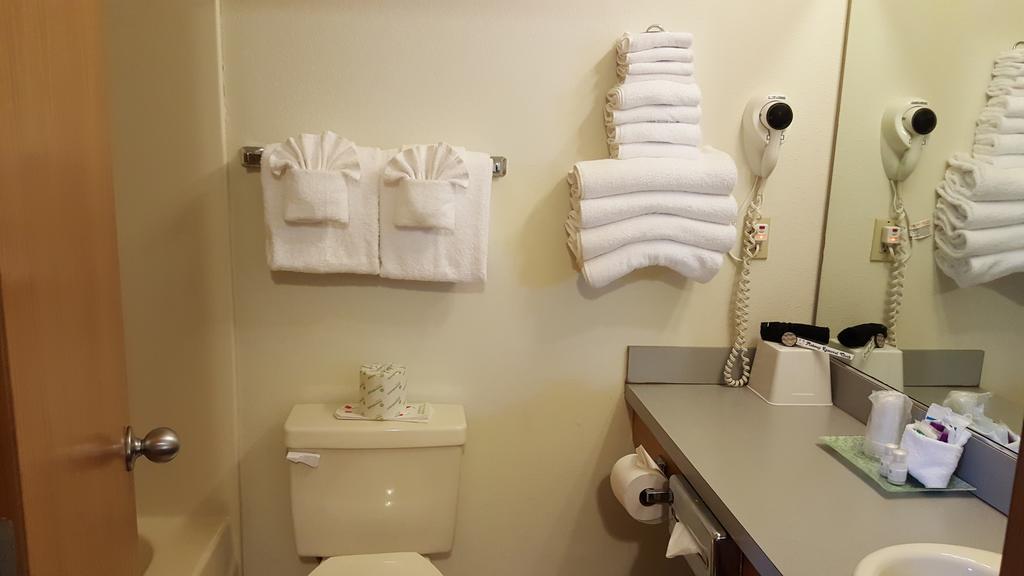 Deluxe Junior Suite Dog Friendly,963162367:JPEG