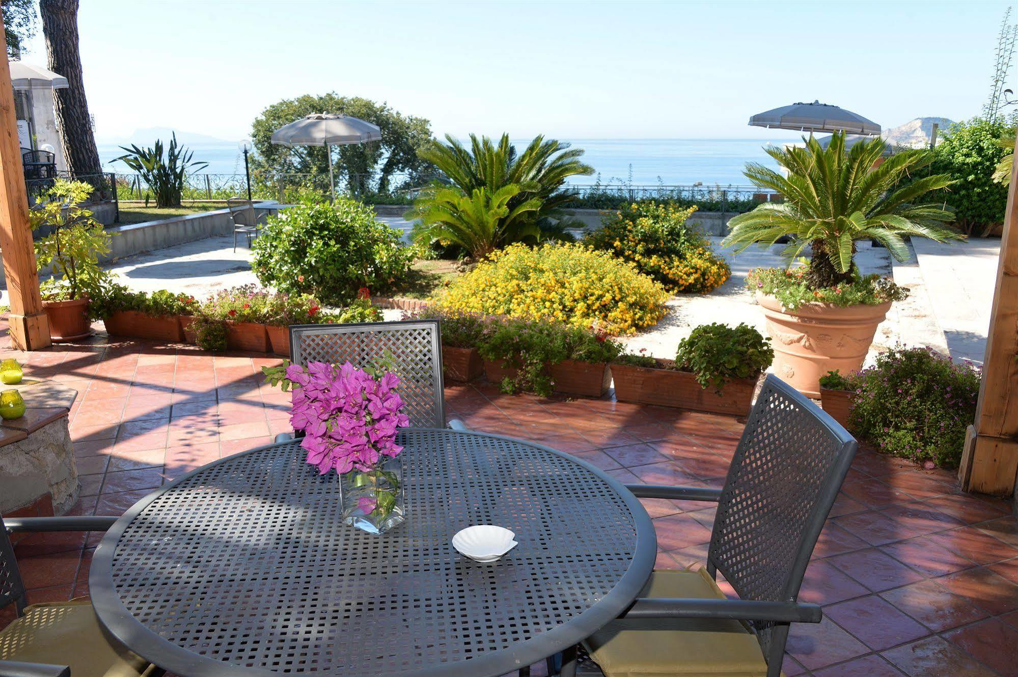 Panoramic Apartment