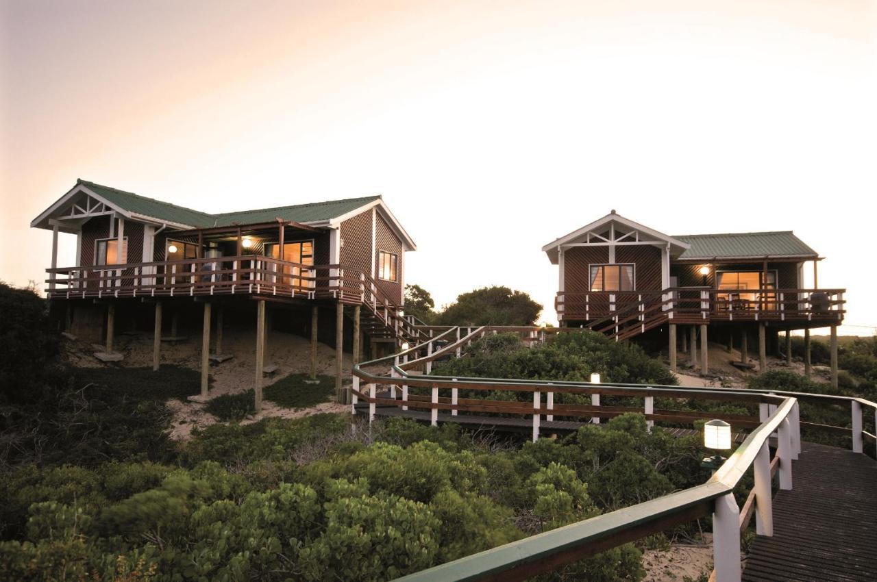 Luxury Chalet