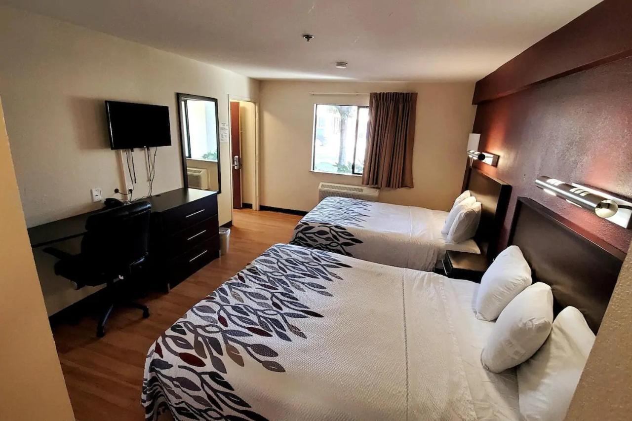 Suite King Room Smoke