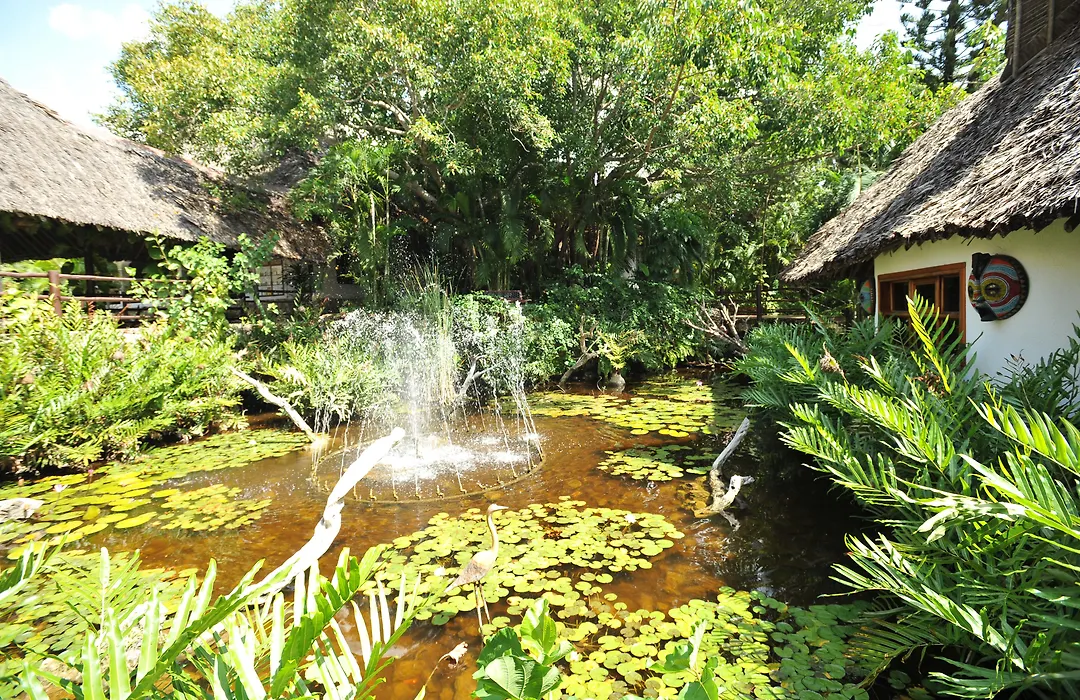 Leopard Beach Resort And Spa-1