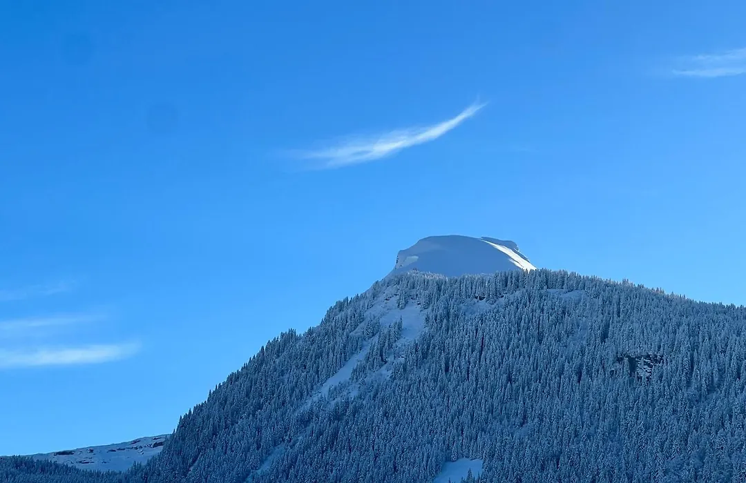 Hôtel Igloo-1