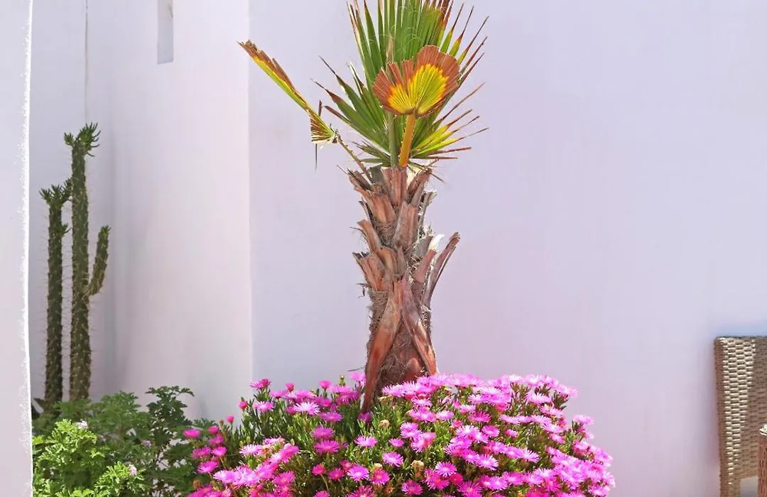 Villa Garance-1