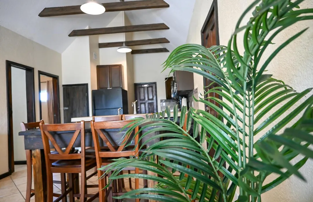 The Palapa House-1