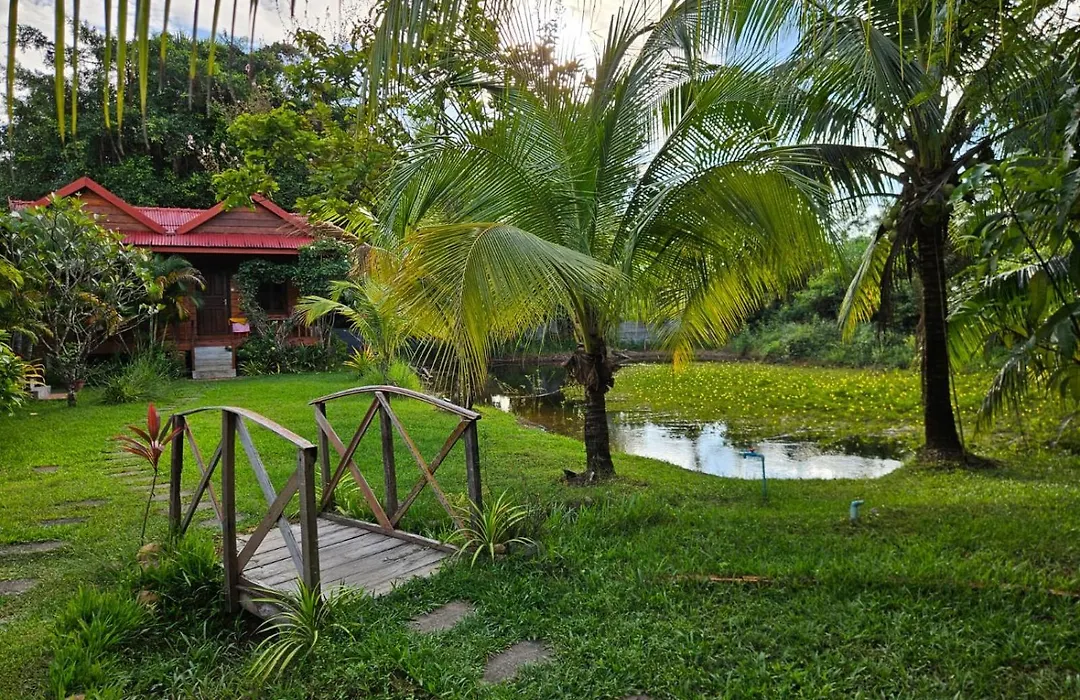 The Hidden Oasis Bungalows-1