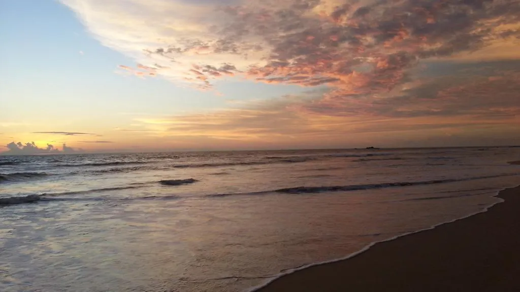 Ocean View-1