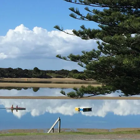 Pohutukawa Bach-2