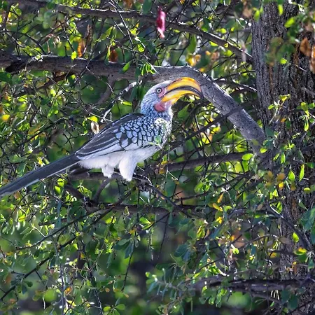 Mushara Lodge-2