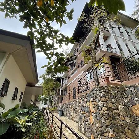 Mist Mountain Resort Powered By Cocotel-2