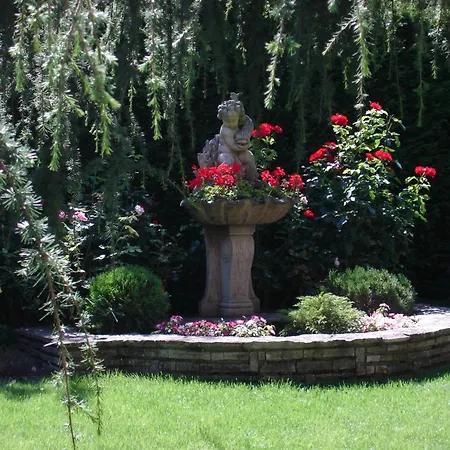Hotel Des Cedres-3