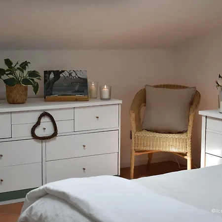 B&B La Foglia Verde-2