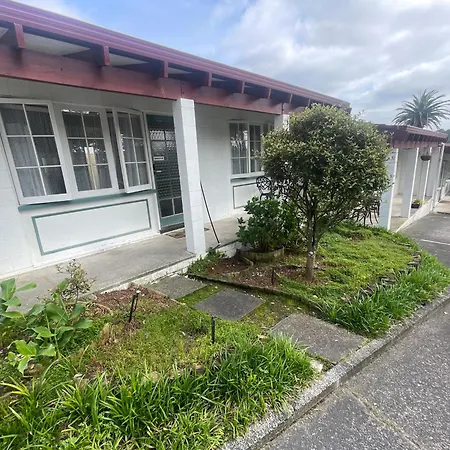 Browns Bay Olive Tree - Pet Friendly Family Apartment-3