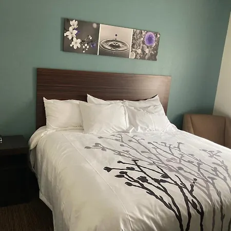 Sleep Inn & Suites-2
