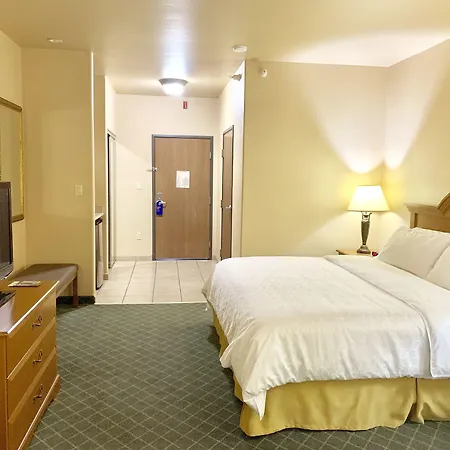 Holiday Inn Express Hotel And Suites Alice By Ihg-3