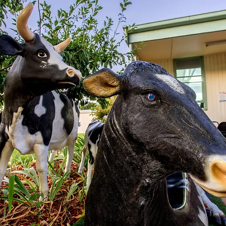 Big4 Shepparton Park Lane Holiday Park-2