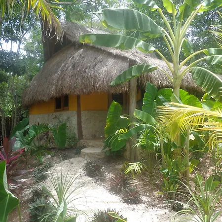Casa Mango-2