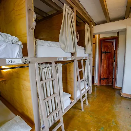 Coffee Tree Boutique Hostel-3