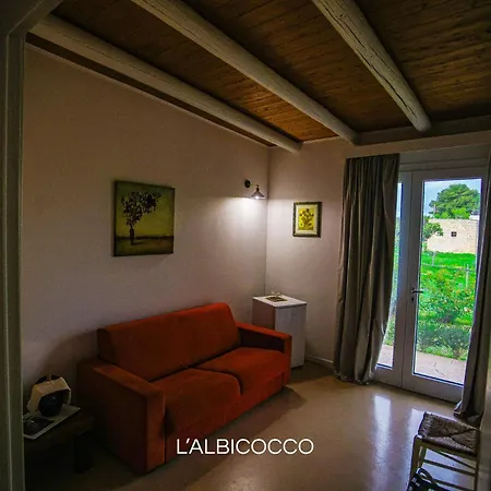 B&b Casina Il Mandorlo-3