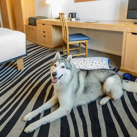 Novotel Torino Corso Giulio Cesare-2