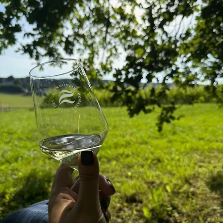 Wijndomein Zwaeneberg-2