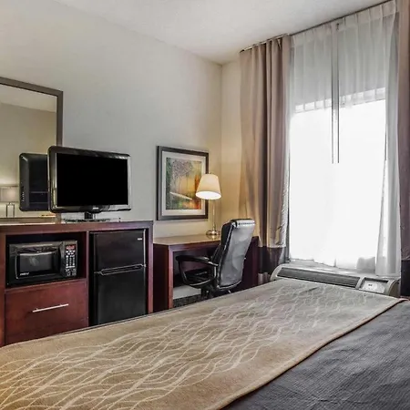 Comfort Inn & Suites-2