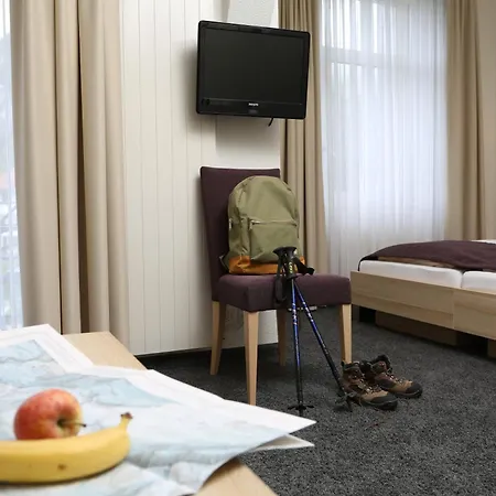 Hotel Lötschberg-3