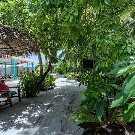 Lvis Blancura Hotel-2
