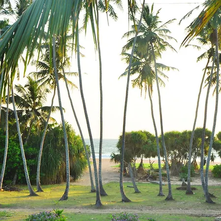 Ocean View-2