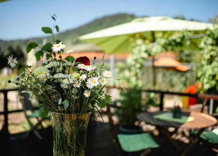 Weingut Und Gaestehaus Zilliken