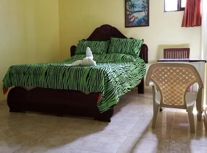 Hotel Victoriano