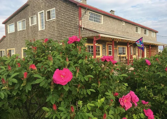 Auberge Cafe Acadien