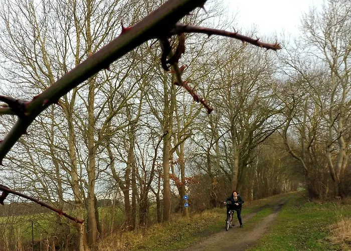 Zimmer in Hafennähe