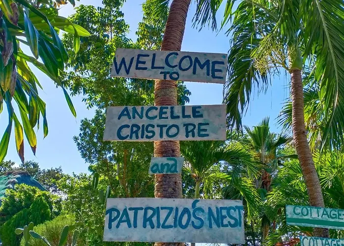 Ancelle Cristo Re