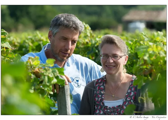B&B Les Secrets de Tifayne Puisseguin