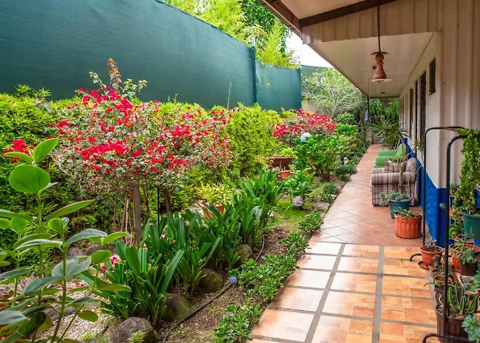 La Casa De Mama Coyita