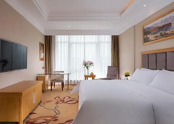 Vienna Hotel