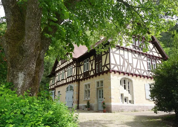 Bed & Breakfast Gruenes Gold Am Leisberg